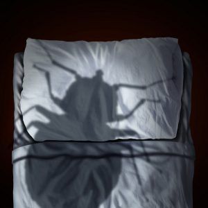 Alergia a los ácaros del polvo